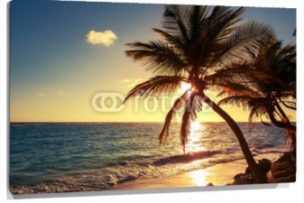 Lienzo Playa atardecer con palmeras